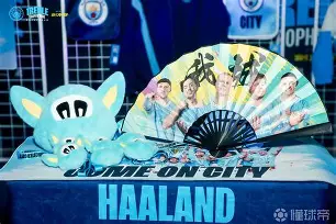 爱游戏体育平台-社区盾杯曼市德比在线完整